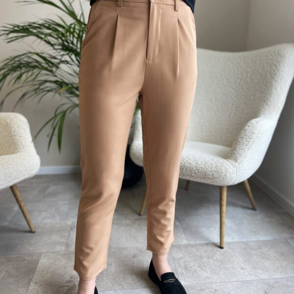 Klasikinės kelnės “beigecut”