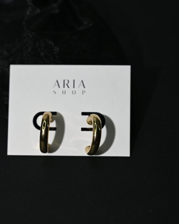 Pusiau rinkių formos auskarai “Gold”