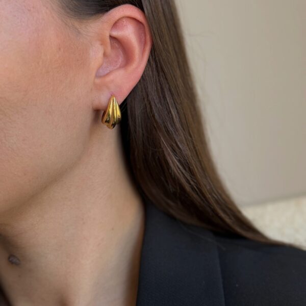 Kriauklių formos auskarai “Gold”