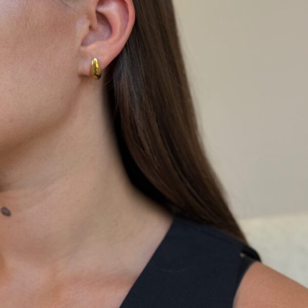 Lašo formos auskarai “Gold”