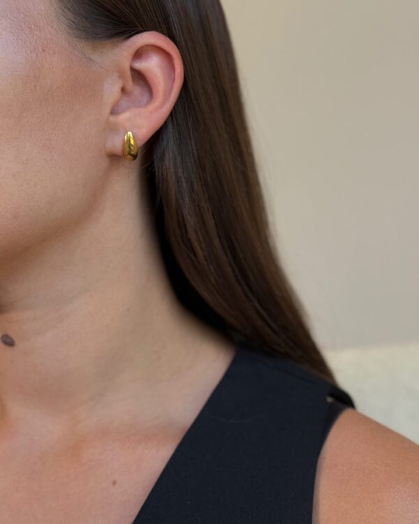 Lašo formos auskarai “Gold”