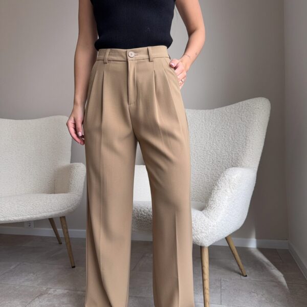 Klasikinės kelnės “Brown Sofia”