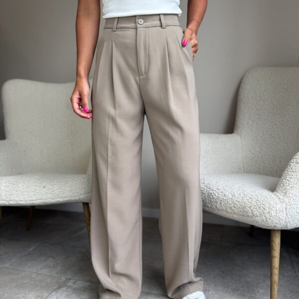 Klasikinės kelnės “Beige Sofia”