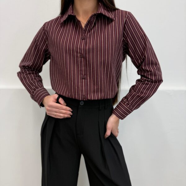 Dryžuoti marškiniai Bordo