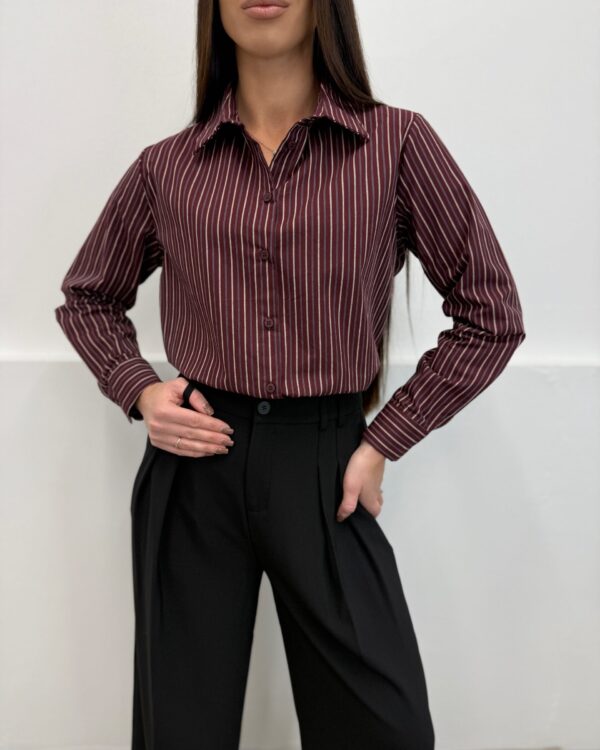 Dryžuoti marškiniai Bordo