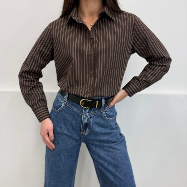 Dryžuoti marškiniai Rudi