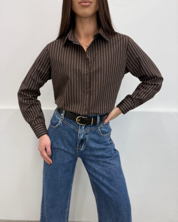 Dryžuoti marškiniai Rudi