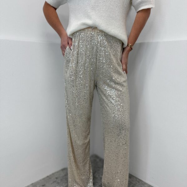 Žėrinčios kelnės Dore