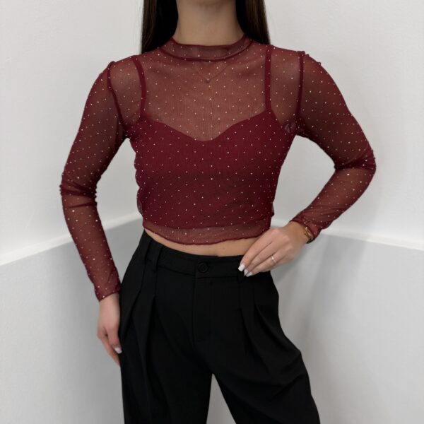 Palaidinė Vine shine