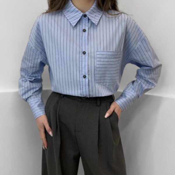 Medvilniniai marškiniai dryžuoti Blue