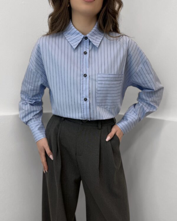 Medvilniniai marškiniai dryžuoti Blue