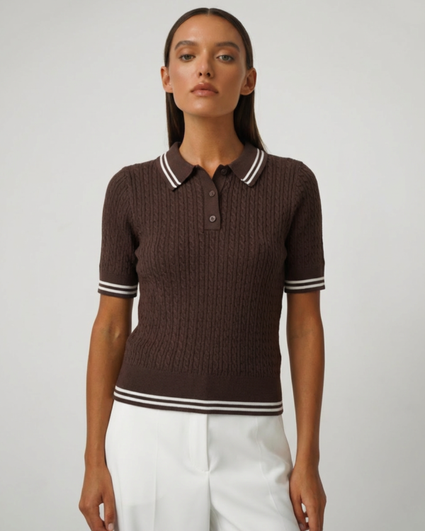 Polo stiliaus megztinis Rudas